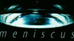 meniscus_feature