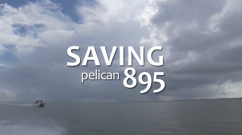 video_poster_pelican895Titles